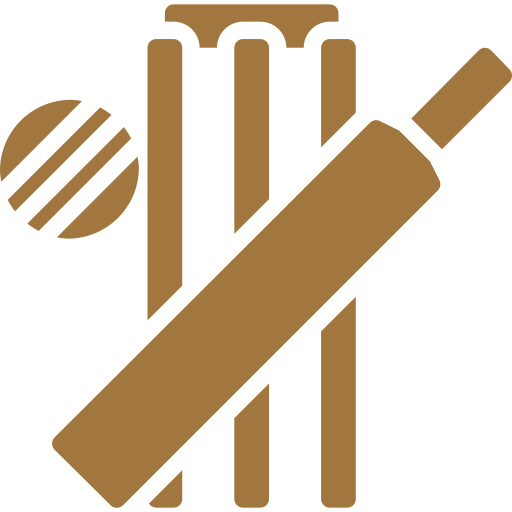 Cricket Practice Net & Futsal Court