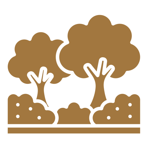 Mini Forest Park